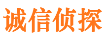 莘县诚信私家侦探公司